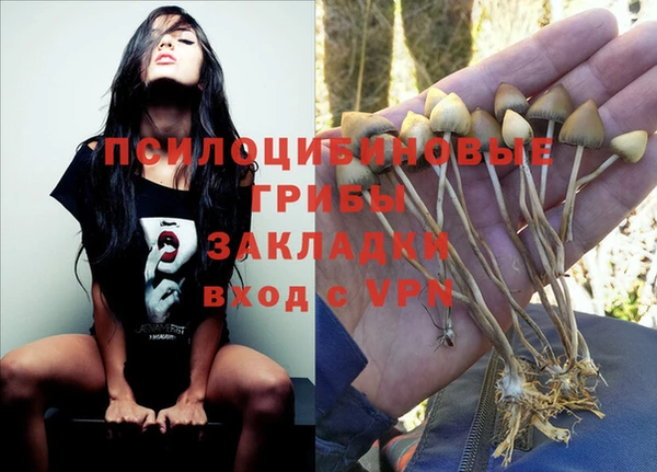 кокс Кукмор